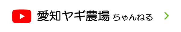 愛知ヤギ農場チャンネル